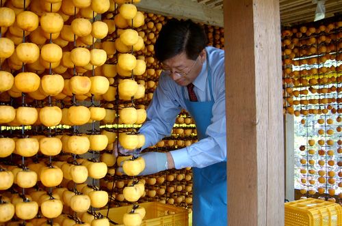 2008년11월 한국일보