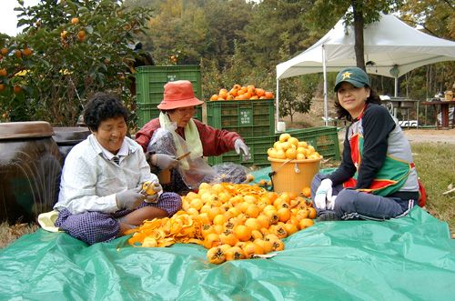 2008 사진촬영대회